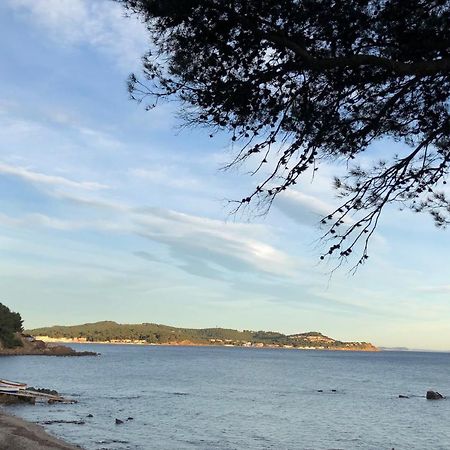 Studio St-Mandrier 300M Mer Saint-Mandrier-sur-Mer Bagian luar foto
