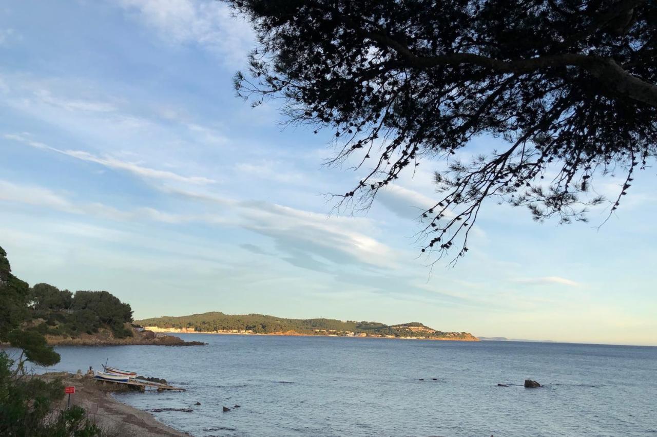Studio St-Mandrier 300M Mer Saint-Mandrier-sur-Mer Bagian luar foto